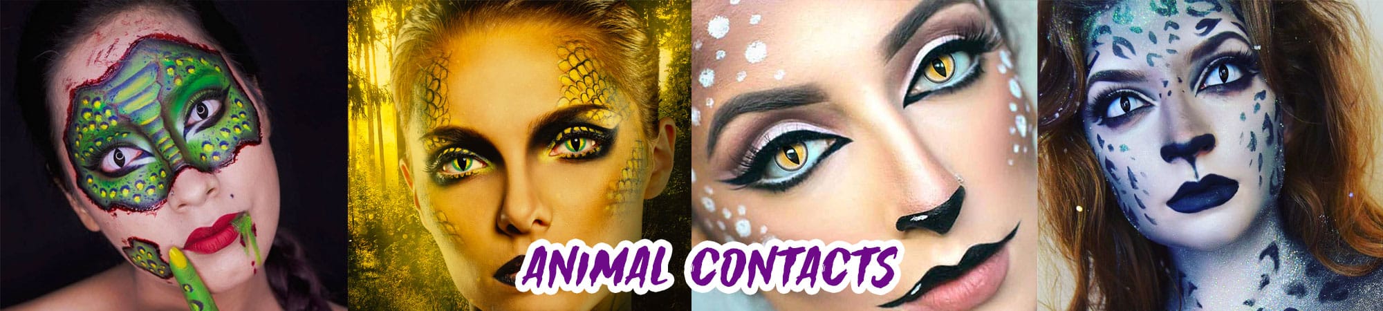 Animal Contacts