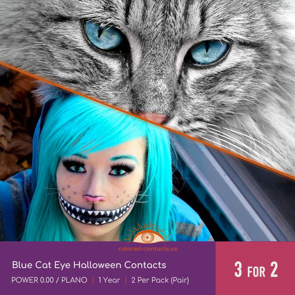 Blue Cat Eye Halloween Contacts - Best COLORED CONTACTS, Color Contact  Lens, Circle Lens 