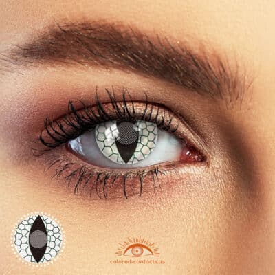 Animal Contacts - Best COLORED CONTACTS, Color Contact Lens, Circle Lens
