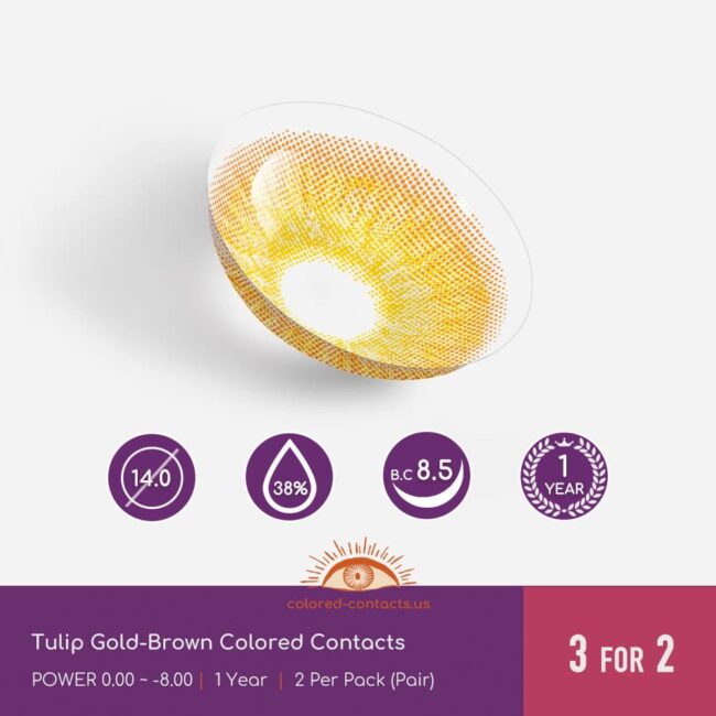 Tulip Gold-Brown Colored Contacts