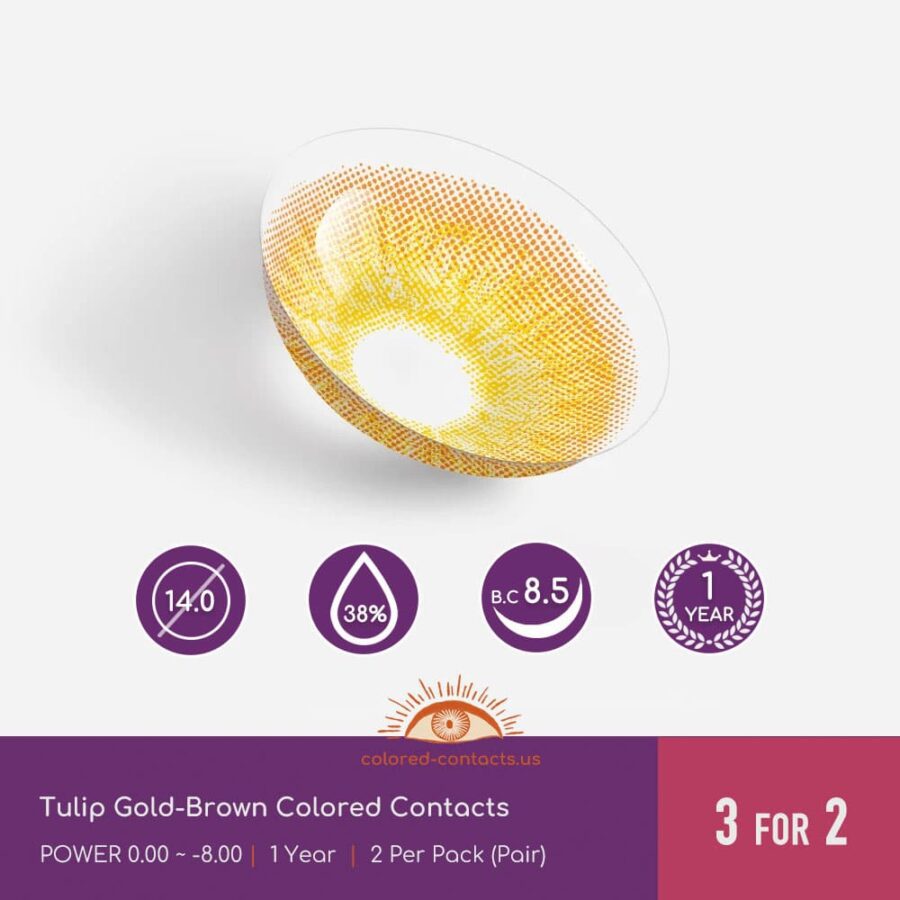 Tulip Gold-Brown Colored Contacts