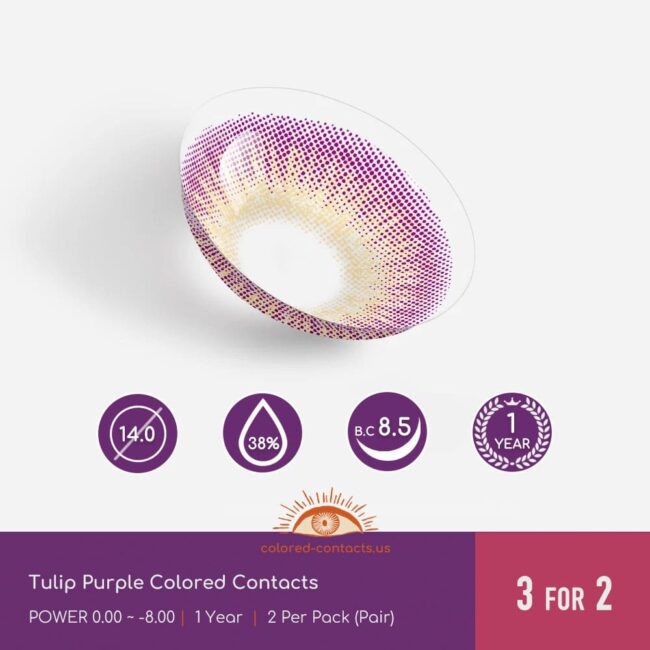 Tulip Purple Colored Contacts