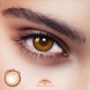 Dodo Brown Colored Contact Lens