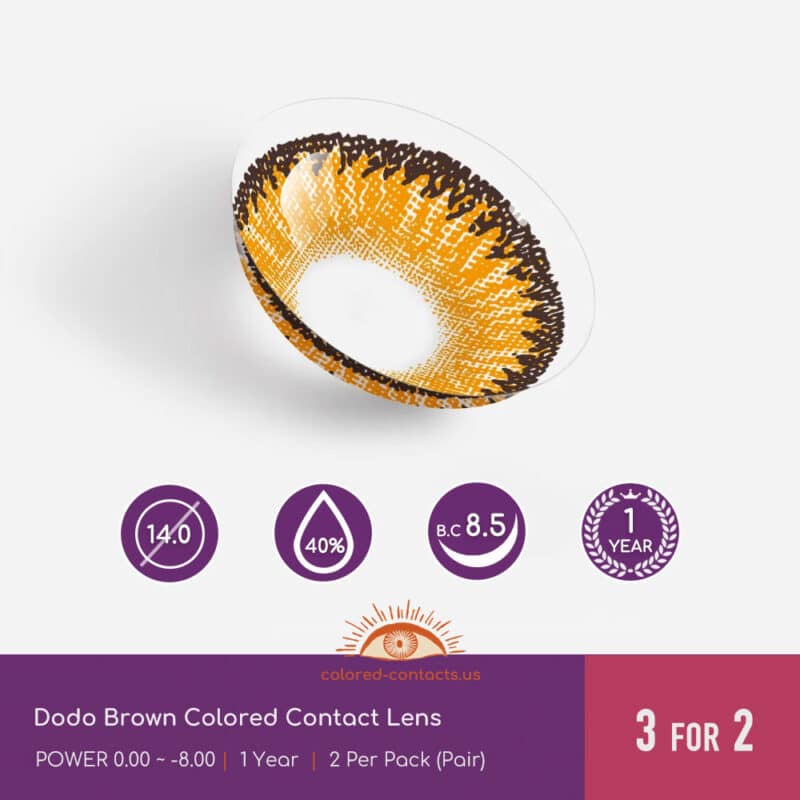 Dodo Brown Colored Contact Lens