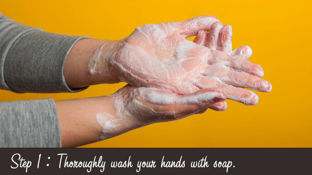 How To Put In Contact Lenses A StepbyStep Guide Colored Contact