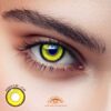 Macaron Brown Colored Contact Lenses - Colored Contact Lenses | Colored Contacts -
