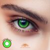 Macaron Green Colored Contact Lenses